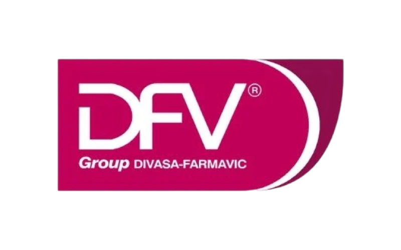 DFV logo