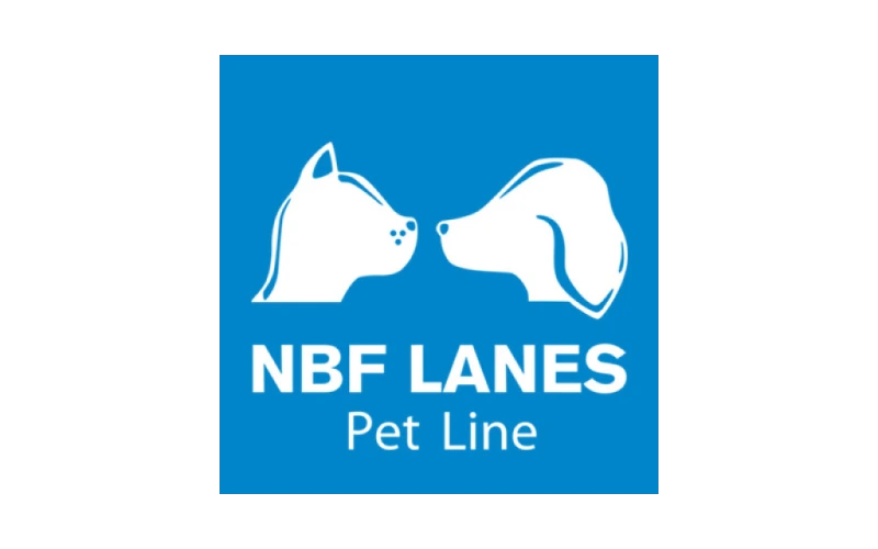 nbf logo